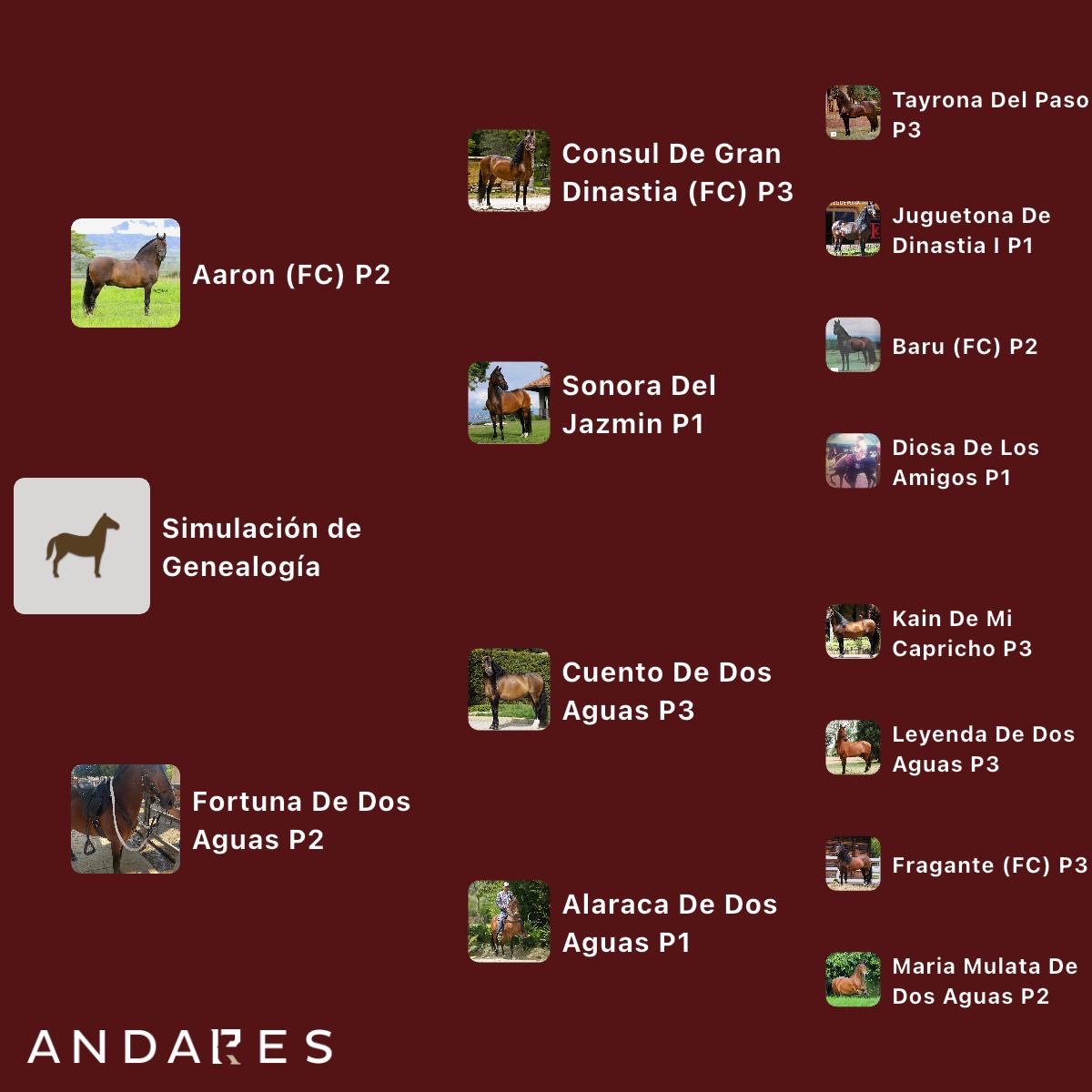 Genealogía de Aaron (FC) × Fortuna de Dos Aguas