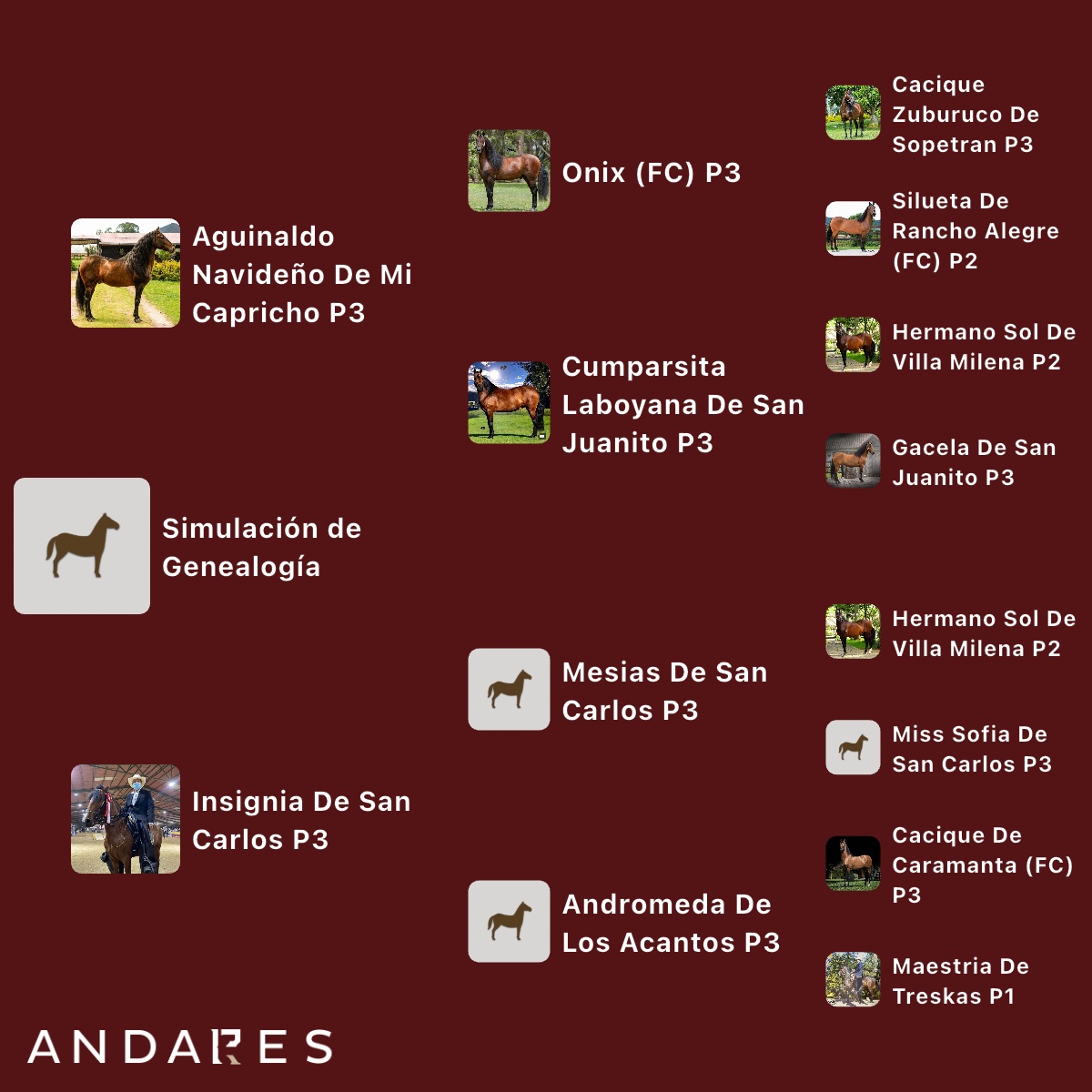 Aguinaldo Navideño de Mi Capricho × Insignia de San Carlos