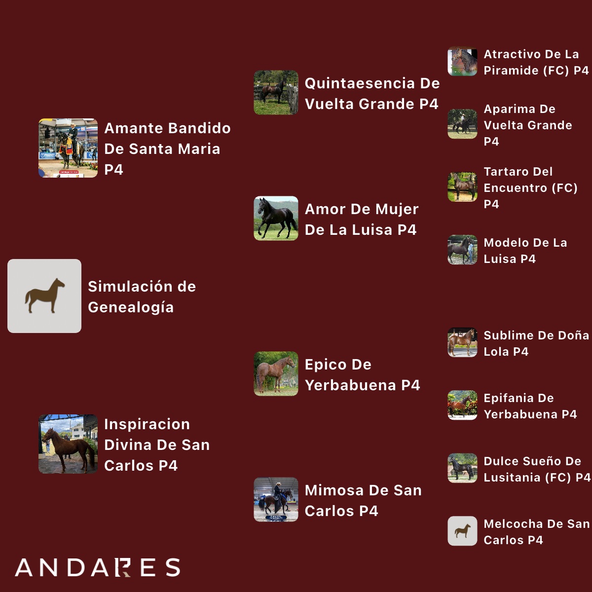 Amante Bandido de Santa Maria × Inspiración Divina de San Carlos