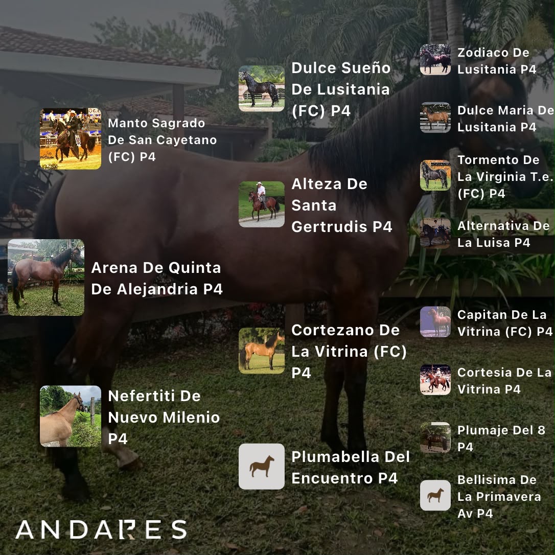 Manto Sagrado de San Cayetano (FC) × Nefertiti de Nuevo Milenio