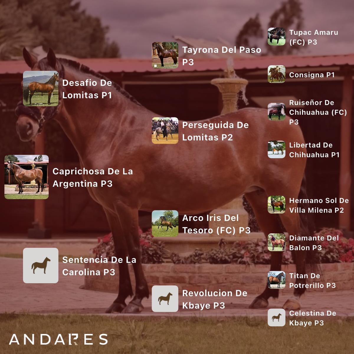 Desafio de Lomitas × Sentencia de La Carolina