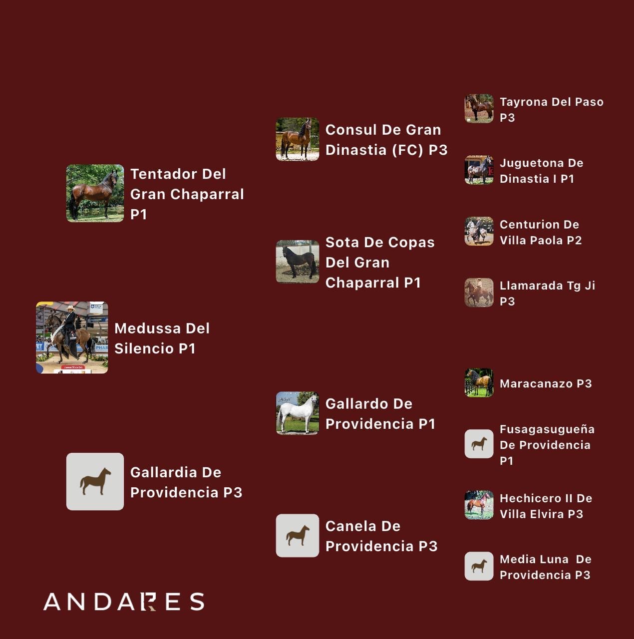 Elegido de la Virginia × Alborada de la Sierra