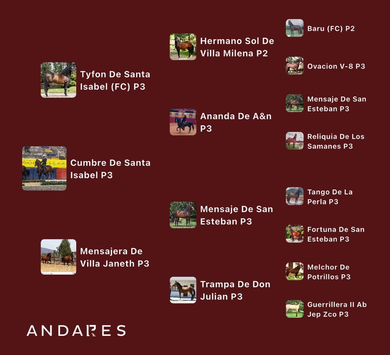 Tyfon de Santa Isabel (P2) × Mensajera de Villa Janeth