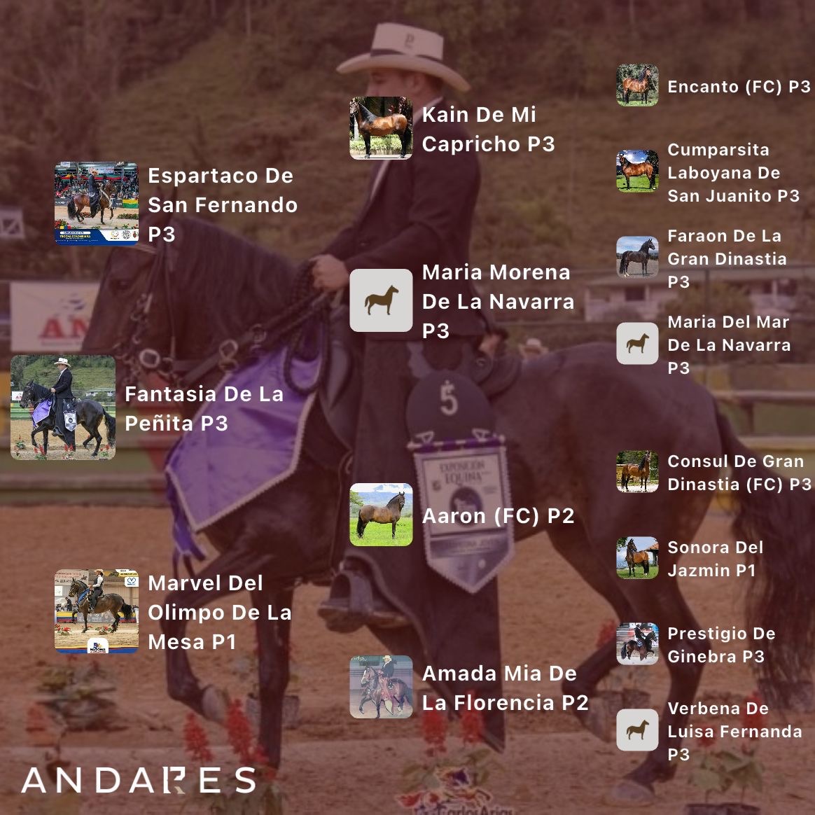 Espartaco de San Fernando × Marvel del Olimpo de La Mesa
