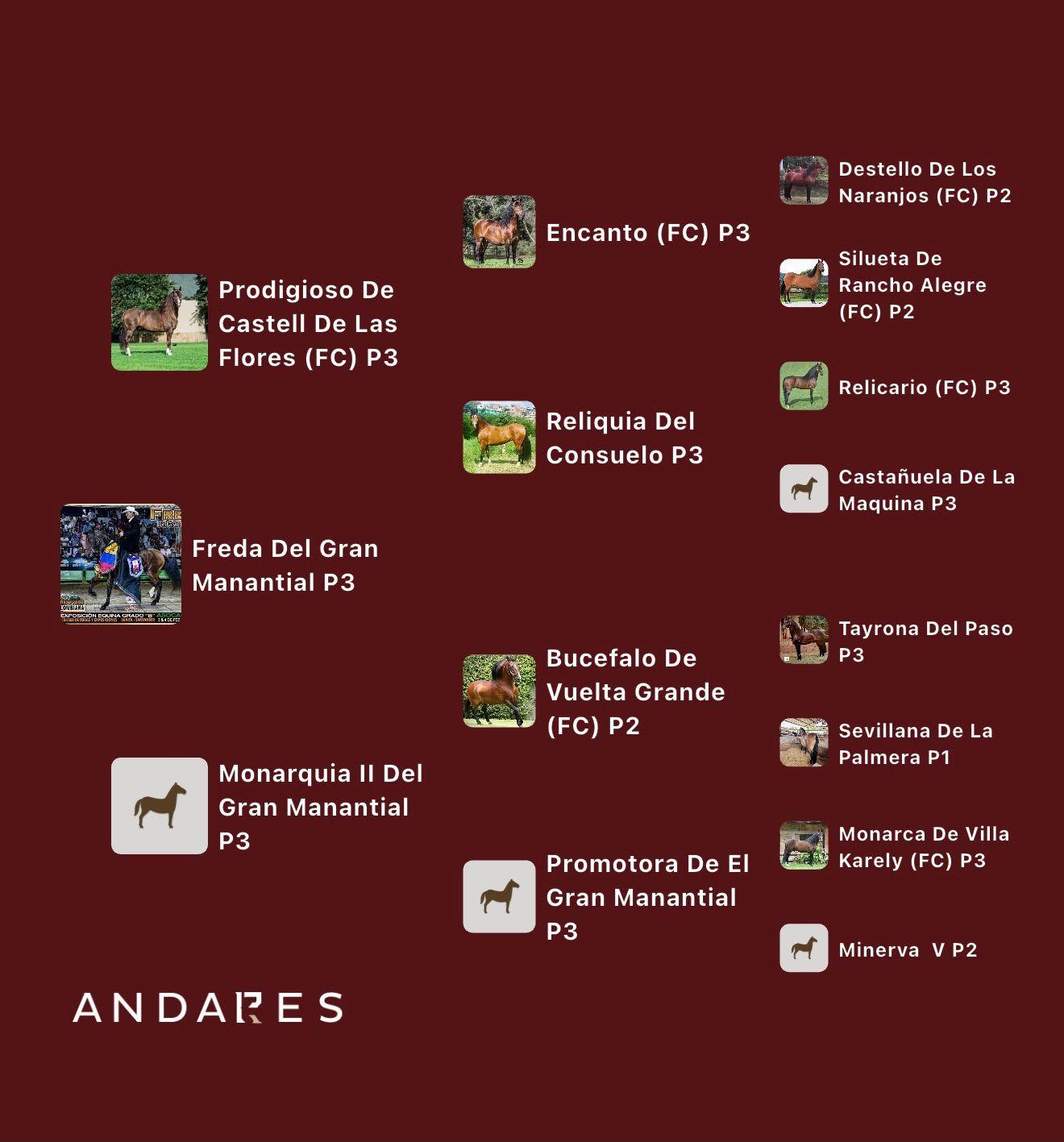 Prodigioso del Castell de Las Flores (P3) × Monarquia II del Gran Manantial (P3)