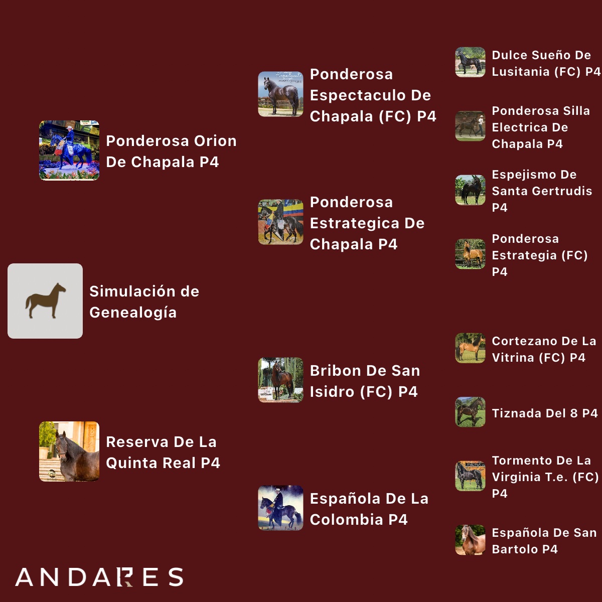 Ponderosa Orion de Chapala × Reserva de La Quinta Real