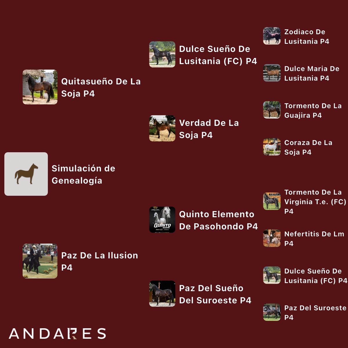 Quitasueño de La Soja × Paz de La Ilusión