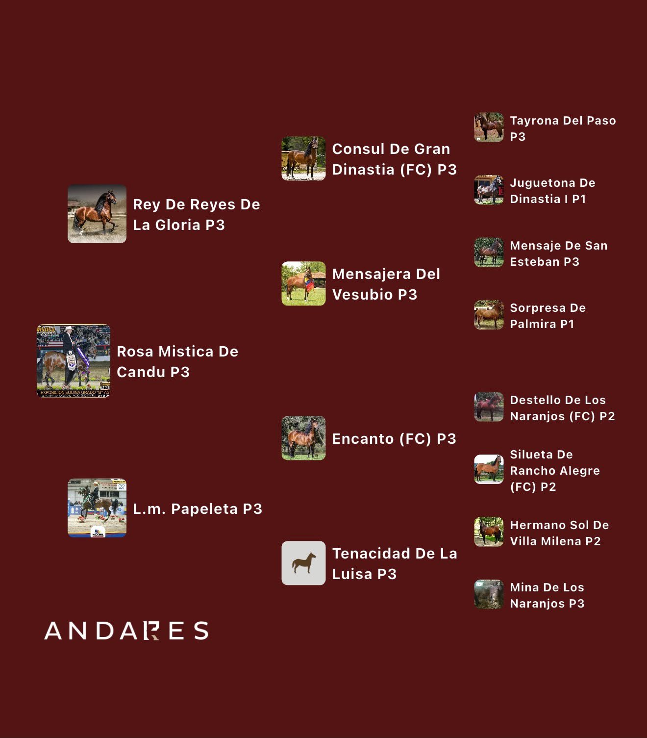 Genealogía de Rey de Reyes de La Gloria (P3) × L.M. Papeleta (P3)