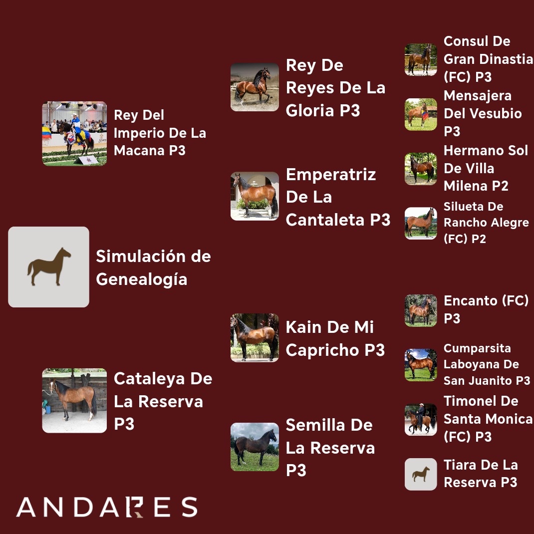 Genealogía de Rey del Imperio de la Macana × Cataleya de la Reserva