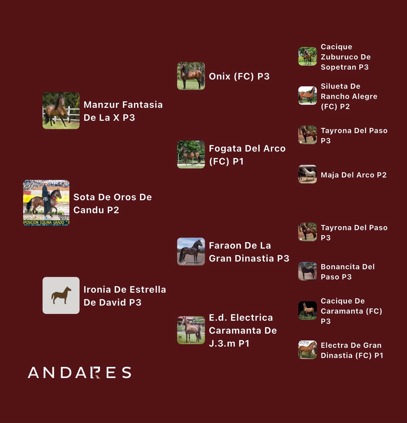 Manzur Fantasía de La X (P3) × Ironia de Estrella De David (P3)