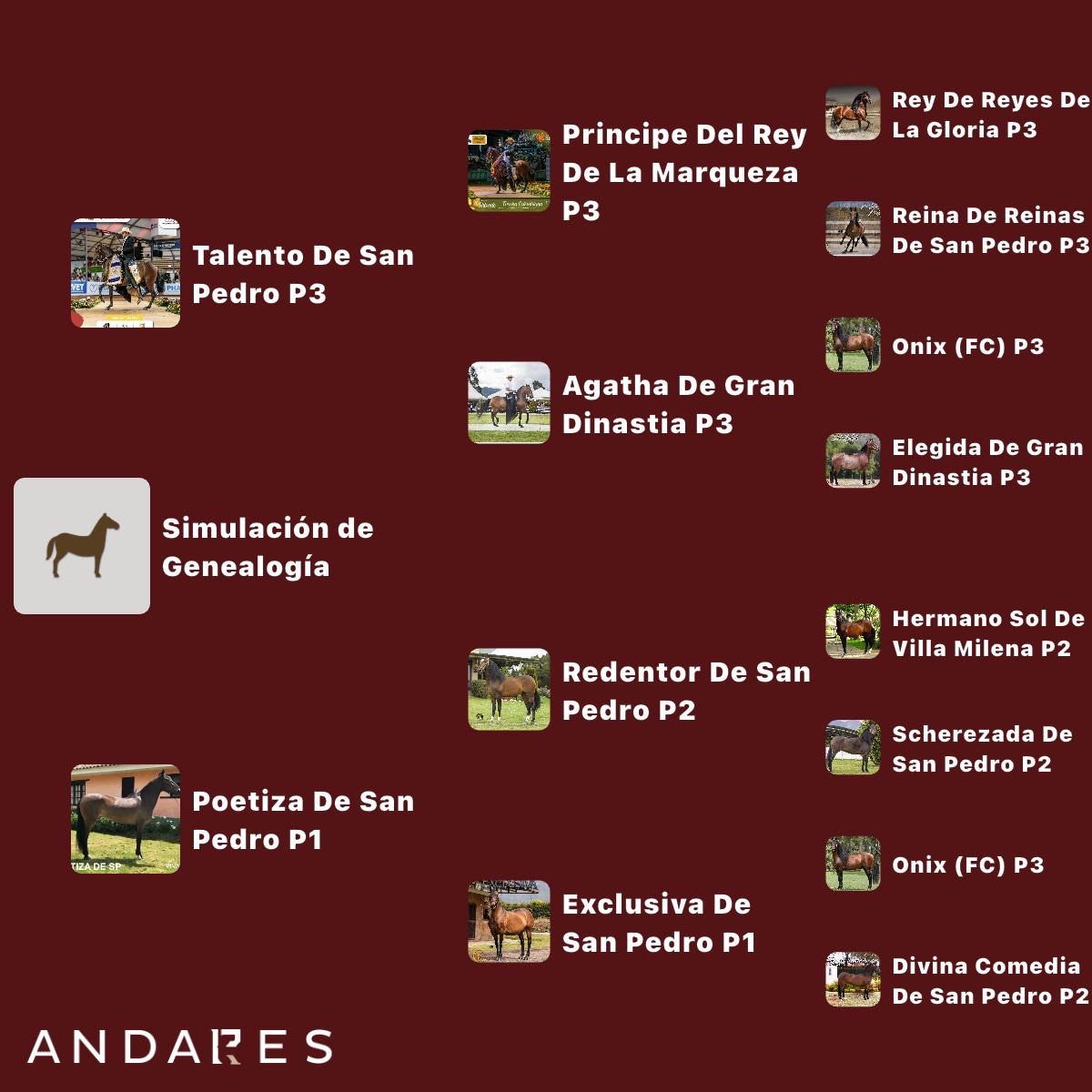 Talento de San Pedro × Poetiza de San Pedro