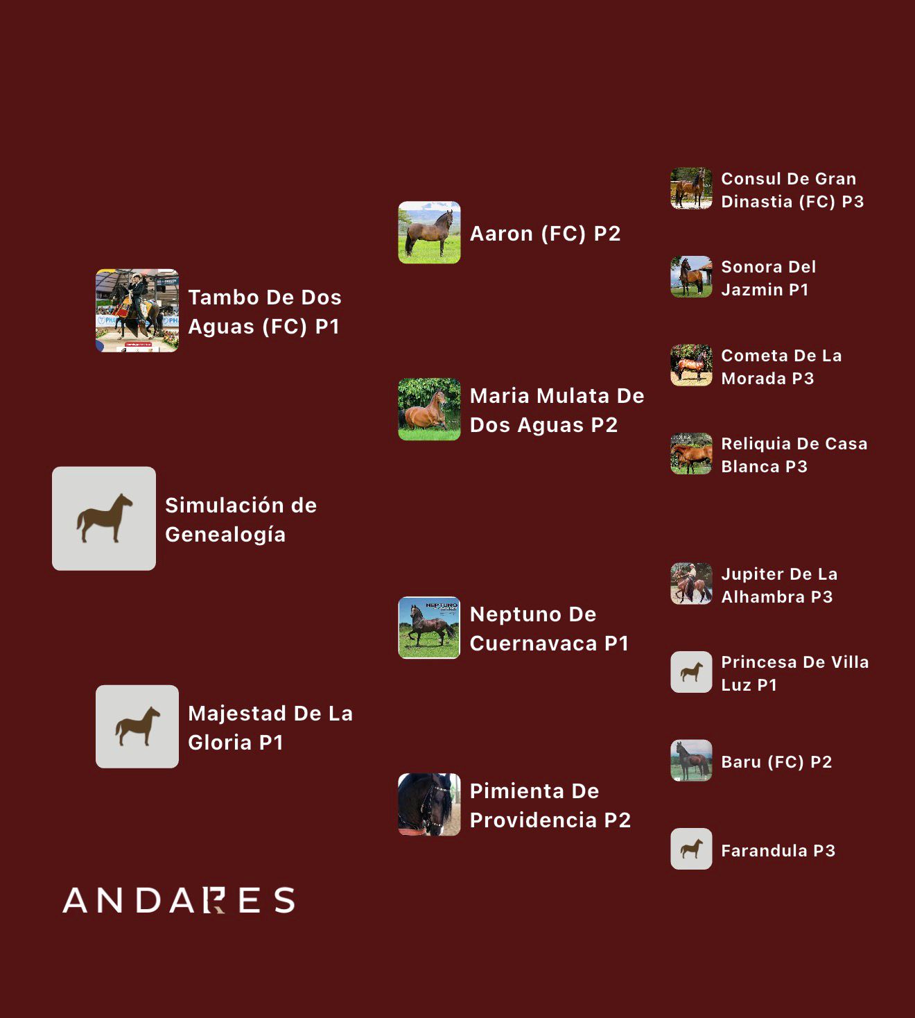 Genealogía de Tambo de Dos Aguas × Majestad de La Gloria