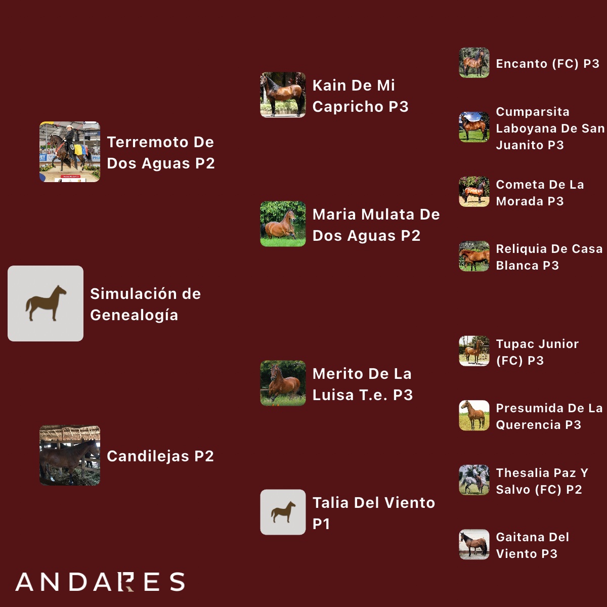 Terremoto de Dos Aguas × Candilejas