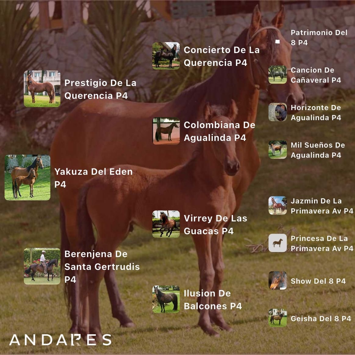 Prestigio de la Querencia × Berenjena de Santa Gertrudis