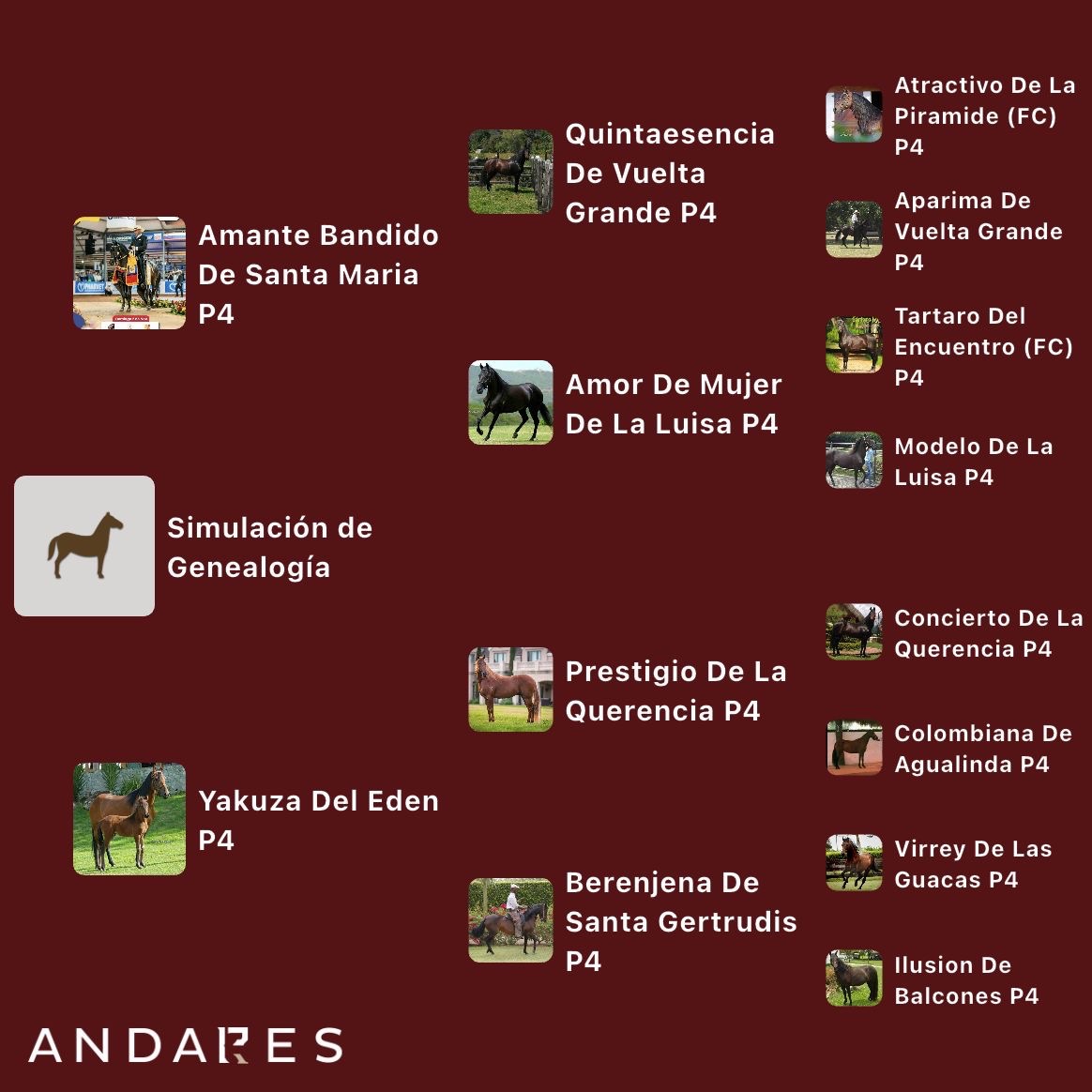 Amande Bandido de Santa Maria × Yakuza del Eden